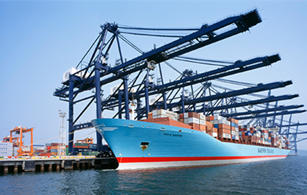 International Trade Import and Export Agent